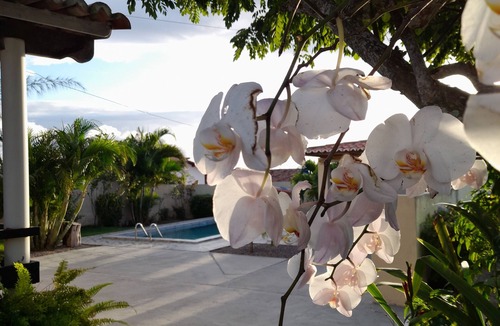 Monte das Gameleiras Hotel | Pousada Vale Encantado