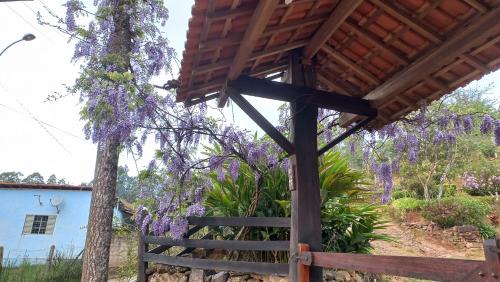 Marmelopolis Hotel | Pousada Vilarejo das Oliveiras