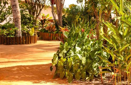 Canoa Quebrada Hotel | Pousada Villa Botânica