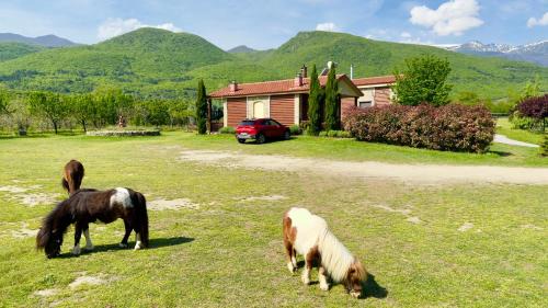 Almopia House | Pozar Park Rooms
