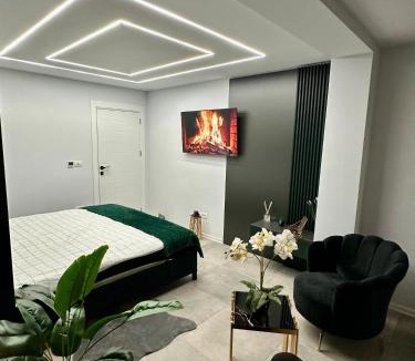 Timisoara Apartment | Ppu Home