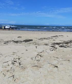 Pitangui House | Praia de Pitangui