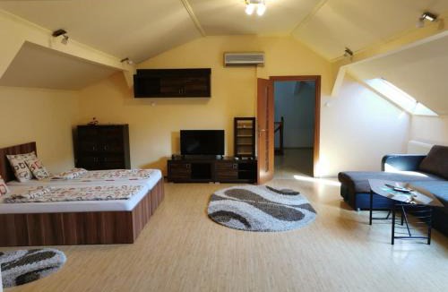 Satu Mare Apartment | Premier Apartment