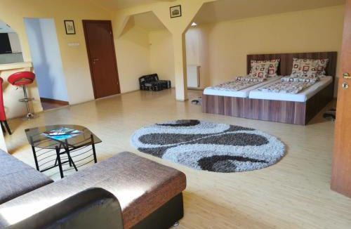 Satu Mare Apartment | Premier Apartment