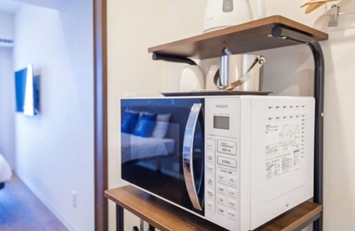 Higashimachi Hotel | Premier Building Light Double Nonsmoking Reso/Naha Okinawa