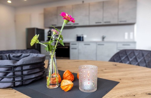 Allensbach Apartment | Premium Apartment Seeblick with Balcony, Wi-Fi and Air Conditioning