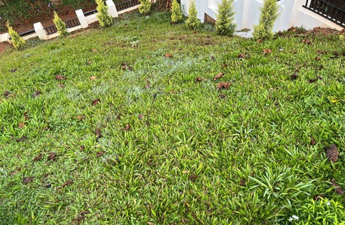Sulthan Bathery Villa | Premium stay in Wayanad with amazing Forest views and Private Infinity Pool.