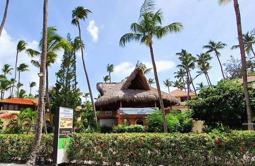 Bavaro Hotel | PREMIUM SUITE QUEEN BED Pool and Beach Club - La Piazzetta #71