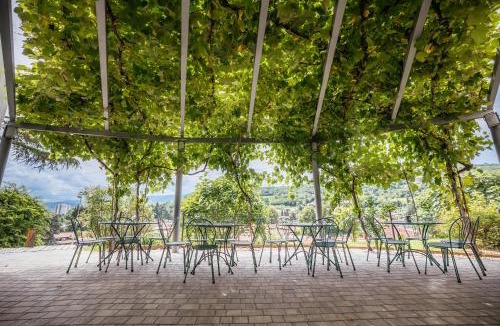 Koper Hostel | Prenočišča Prisoje