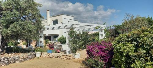 Macchia di Monte Villa | Prestigiosa villa con piscina condominiale