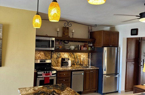 Los Cabos Condo | Prime Front-Row Studio/Direct Palapa & Ocean Views