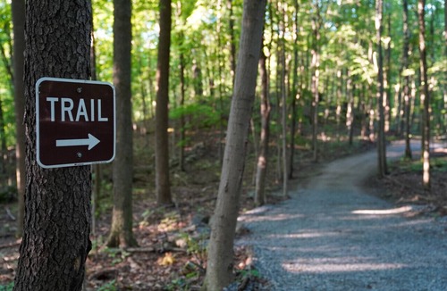 Vernon RV Rental | Primitive Camping Site
