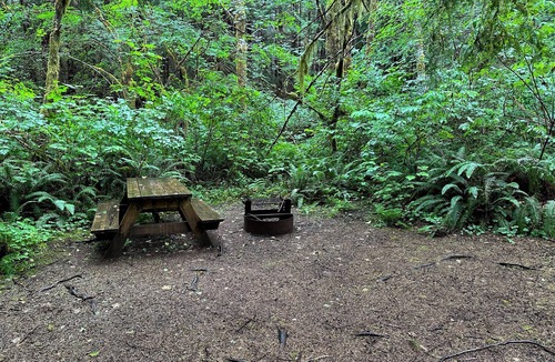 Forks RV Rental | Primitive Tent Site #10- Beautiful Forested Property