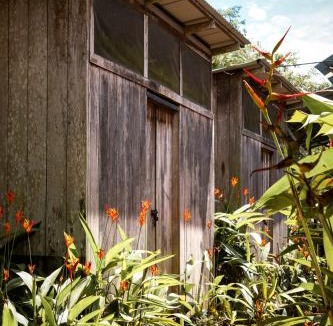 Bahia Solano House | PRIMITIVO LODGE & dive center