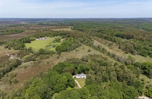 New Forest District House | Primrose Spinney