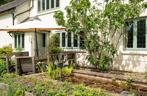 New Forest District House | Primrose Spinney