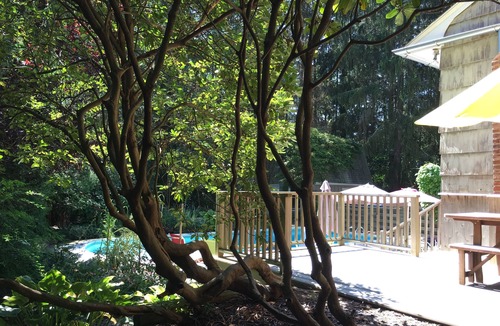 Southold House | Privacy! Heated salt-water pool, central a/c, all kinds of families welcome