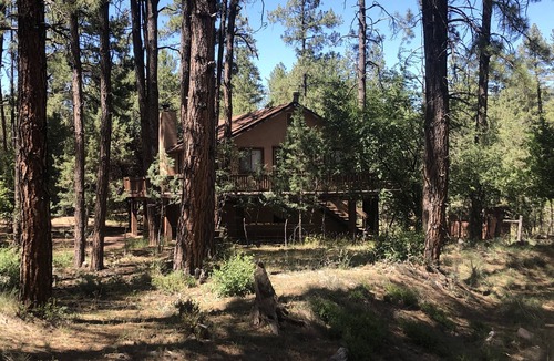 Pine Cabin | Privacy! One & 1/2 acre with wrap around deck. Backs the National Forest.