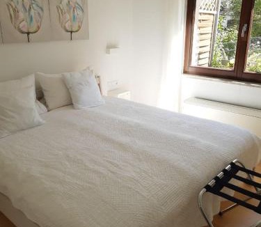 Lorch Apartment | Privatapartment Ida