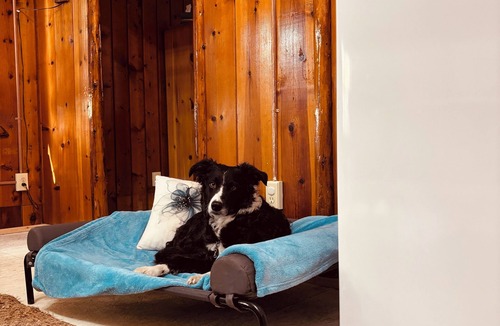 Greenbush Cabin | Private 2 Bedroom Pet Friendly Cabin Escape w/Hot Tub in Greenbush, Michigan