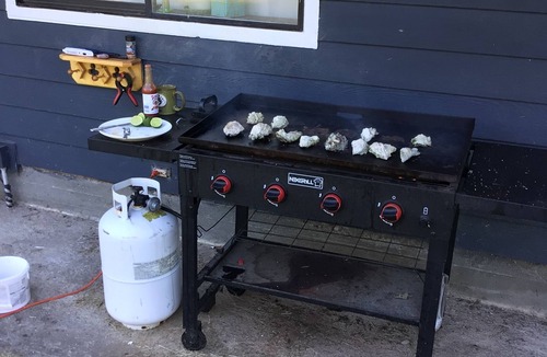 Burley House | PRIVATE BEACH, SEAFOOD, AND CAMPFIRE! Awesome location!