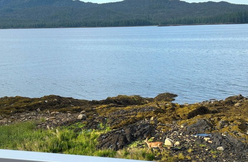 Ketchikan House | Private Beachfront 3 bedroom + loft, 5 bed, huge deck. 2 bath, WiFi, barbecue.