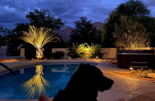 Oro Valley House | Private beautiful oasis Over Looking Oro Valley Country Club, Oro Valley Country Club home with mag