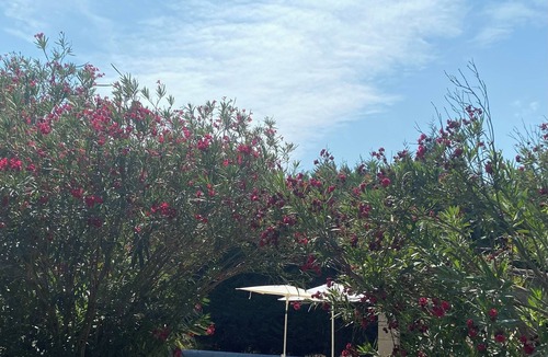 Eyragues Bed & Breakfast | Private bed and breakfast on a Family farm 5 minutes from Saint Remy de Provence