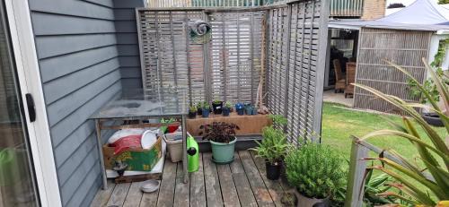Whitianga House | Private cabin