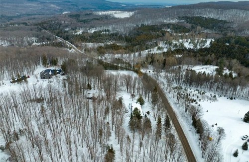 Glen Huron Cabin | Private Cabin Retreat in Pretty River Valley |15 min to Blue Mountain