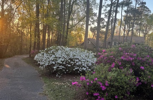 Chattahoochee Apartment | Private Forest Estate Suite Near Lake Seminole w/Secure Boat Parking