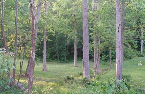 Pineville House | Private Getaway Connected to State Park and Golf Course!