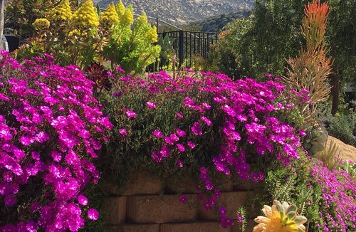 Lakeside House | Private Home With Sweeping Views! Extra-Comfy Bed, Fully Stocked,fast Wifi!