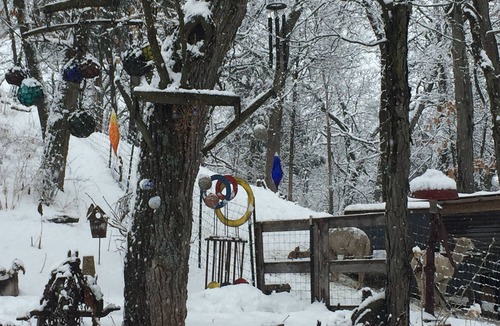 Whitewater House | Private Kettle Moraine Forest getaway w/Alpacas, fire pit & direct trail access!