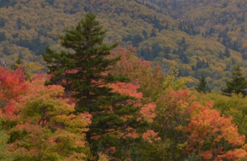 Hattieville Cabin | Private Lakefront Cabin for Fishing, Relaxation and Outdoor Recreation