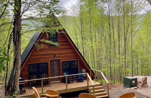 Edray Cabin | Private Mountain View Alpine A-Frame 8 miles to Snowshoe