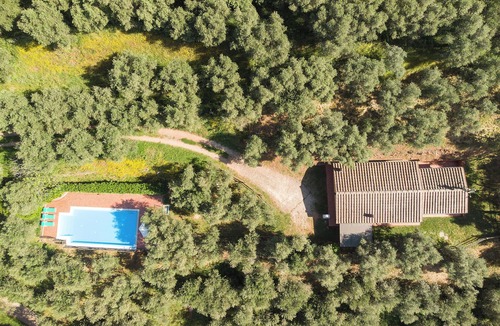 Calci Villa | PRIVATE POOL - FARMHOUSE FATTORIA LA PIEVE - Villa LIMONE, 8 Km from Pisa