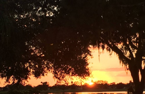 Regency Oaks House | Private Pool Lakefront Regency Oaks Cranes Galore