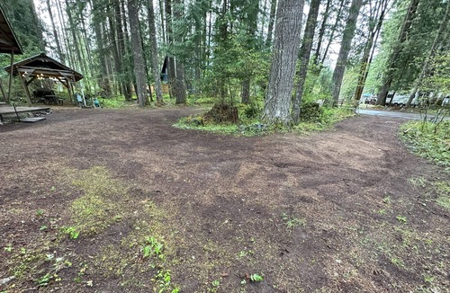 Packwood House | Private RV parking at the base of Mt. Rainier. Have the forest to yourself!