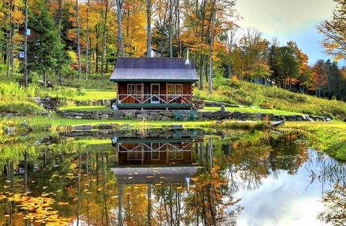 Londonderry Cabin | Private secluded trout cabin- sleeps 2