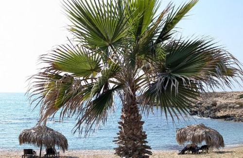 Dipkarpaz Apartment | Private Studio in a Evens Mini Villa with Terrace & Garden