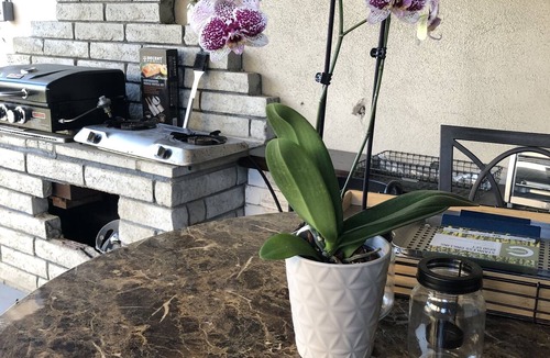 Southwest Anaheim Apartment | Private Unit/Private Entrance 5-10 mins away from CHOC, UCI,Kaiser, Disney