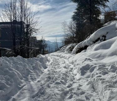 Manali Ski Chalet | Private Villa Alpine Escape 6BHK