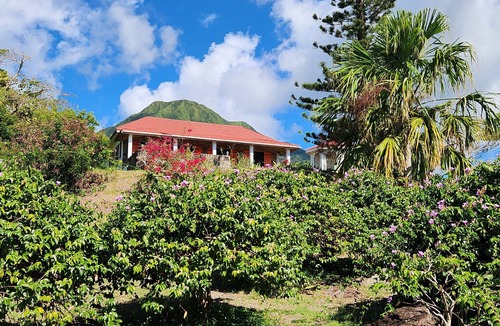 Stonyhill Villa | Private Villa on 2 Acres with Chef and Saltwater Pool