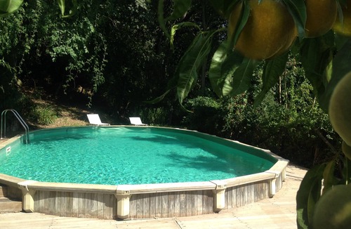 Corbara Villa | Private Villa with pool set in the nature