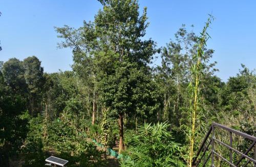 Sulthan Bathery Villa | Private Villa With Pool