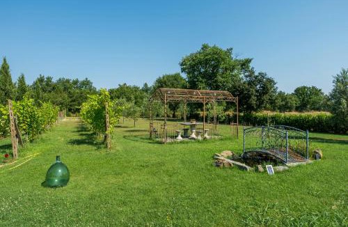 Ferretto House | Private Villa With Pool On Cortona Vineyards
