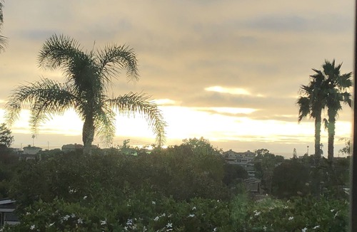 Leucadia House | Private, vintage, 2bd, 2ba, third acre lot, ocean views, amazing sunsets!