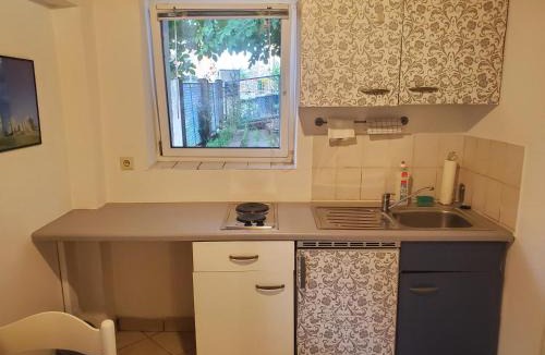 Enzberg Apartment | Private Wohnung mit Küche und Bad Einzimmerwohnung
