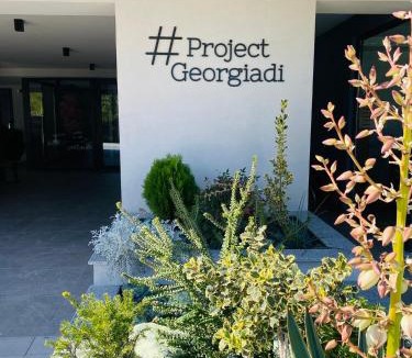 Aridaia Apartment | Project Georgiadi #2 - Modern Apartment in peaceful neighborhood - 15 mins from Loutra Pozar